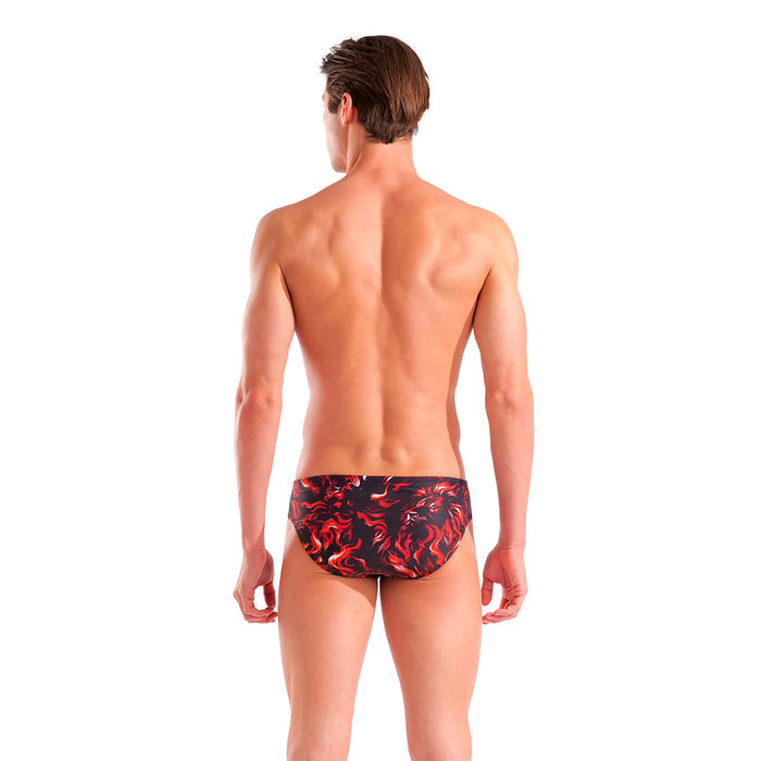 Arena Graphic Brief back