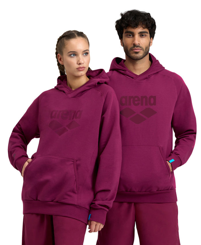 Arena Sweatshirt Logo Hoodie