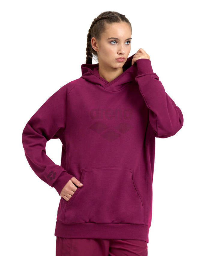 Arena Sweatshirt Logo Hoodie