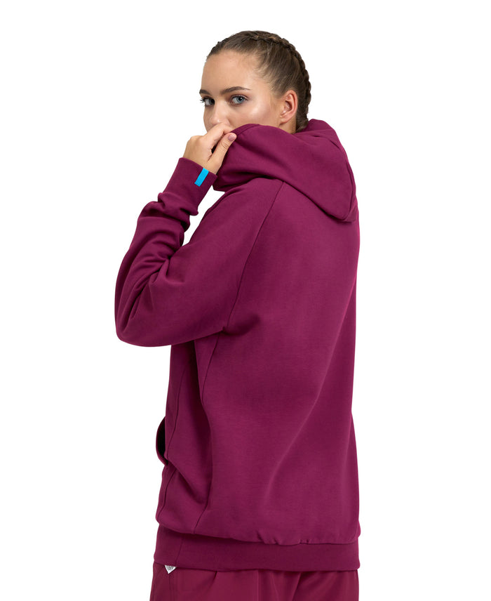 Arena Sweatshirt Logo Hoodie