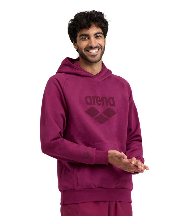Arena Sweatshirt Logo Hoodie
