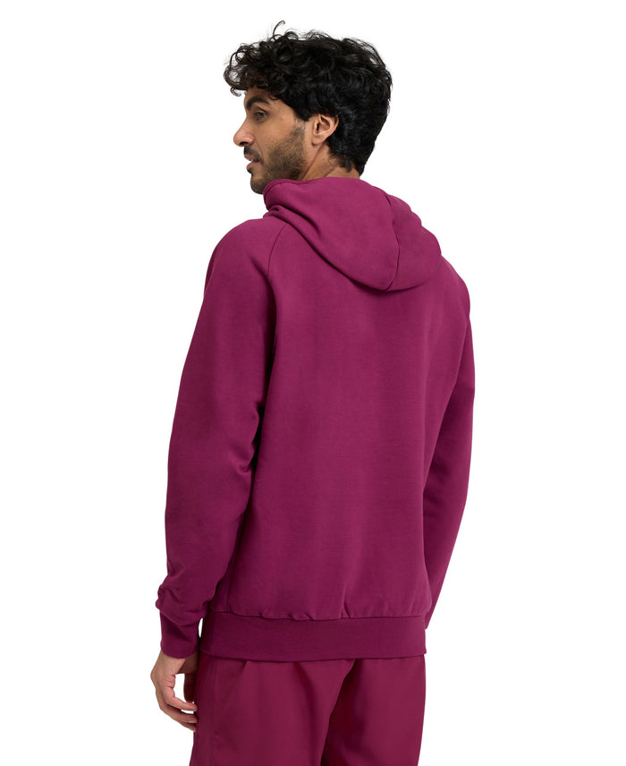 Arena Sweatshirt Logo Hoodie
