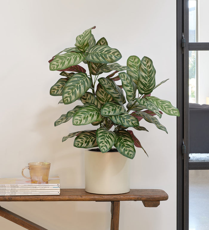 Artificial Calathea Bush