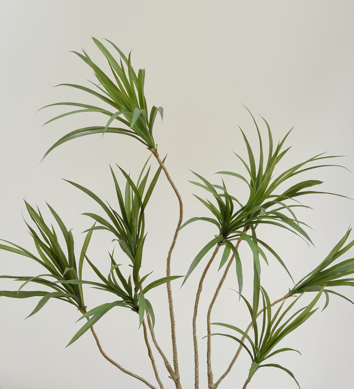 Artificial Dracaena Multi-trunk