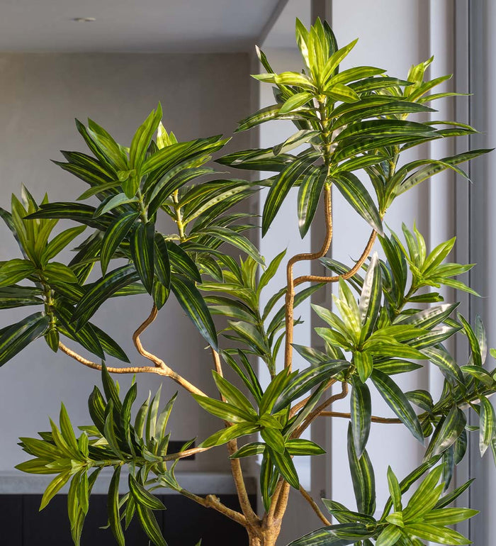 Artificial Dracaena Tree