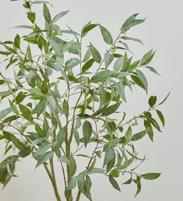 Artificial Eucalyptus Globulus Tree