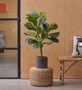 Artificial Fiddle Leaf Fig