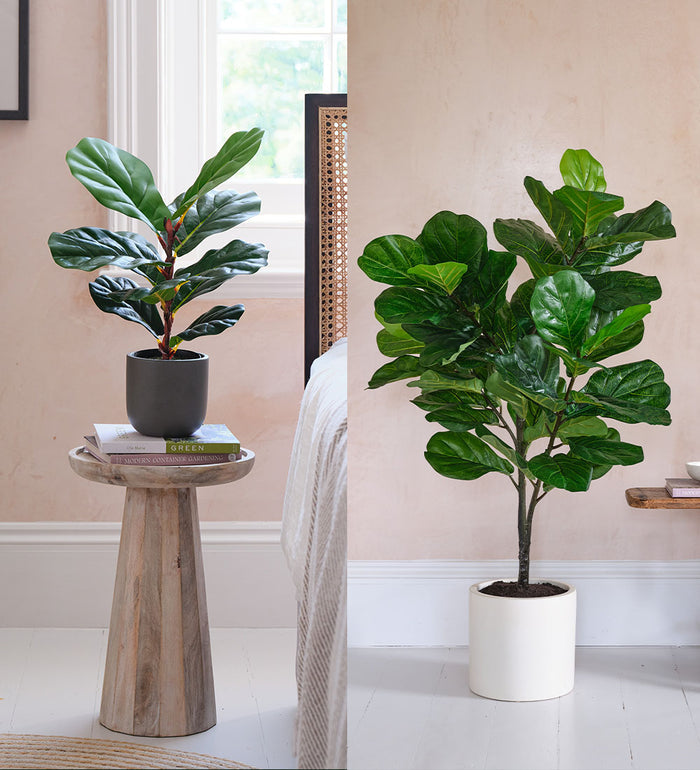 Artificial Fig Pair