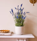 Artificial Lavender