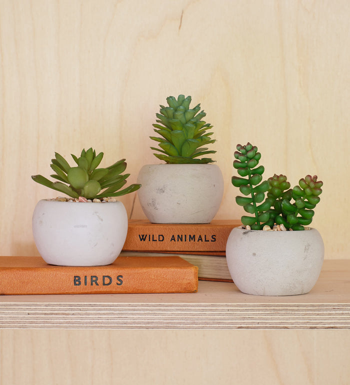 Artificial Mini Succulent & Pot