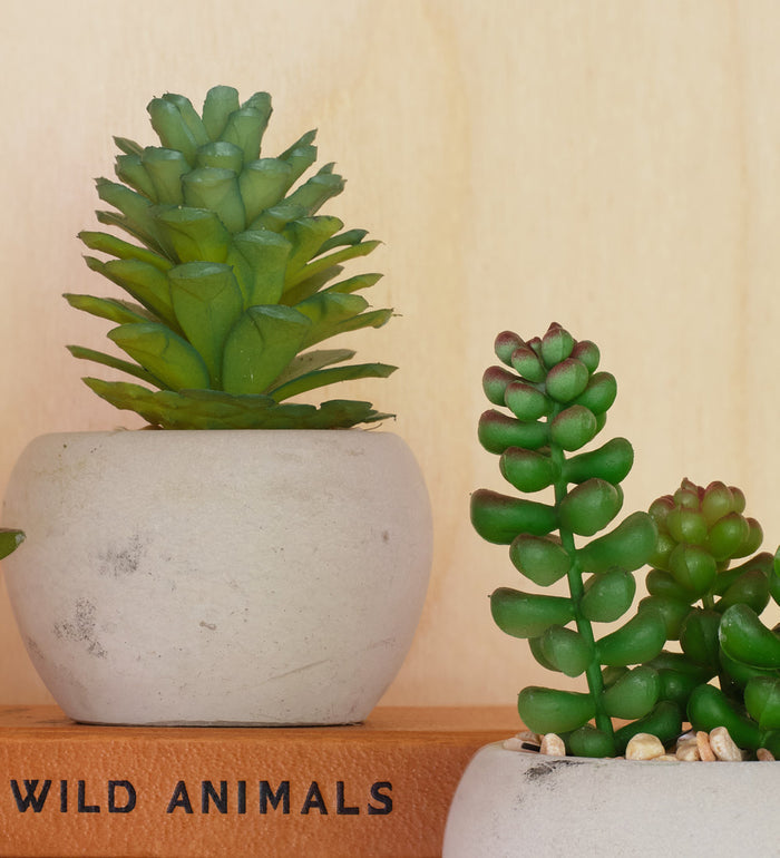 Artificial Mini Succulent & Pot