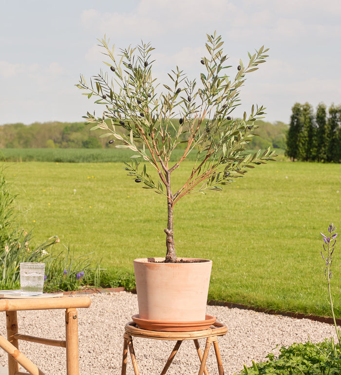Artificial Olive Tree (UV protected)