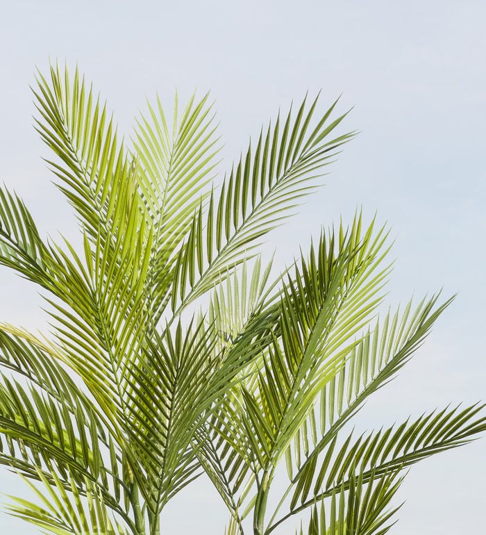 Artificial Palm (UV protected)