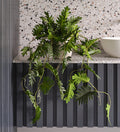 Artificial Philodendron Hanging