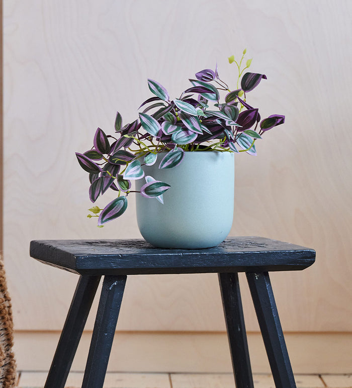 Artificial Tradescantia