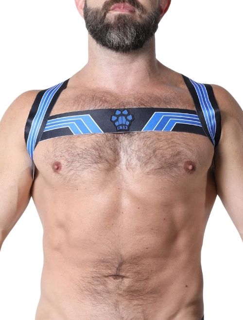 Bandit Harness - Blue