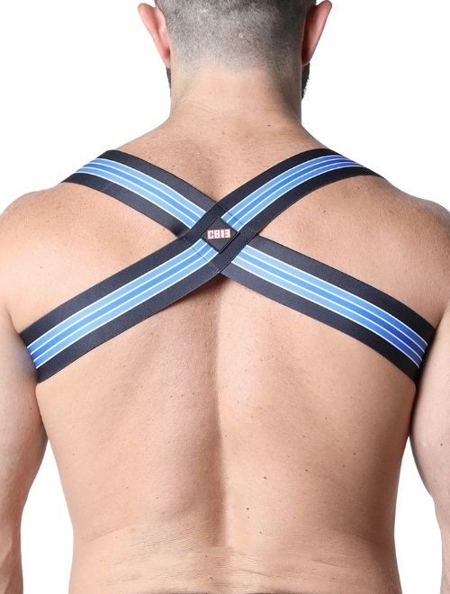 Bandit Harness - Blue