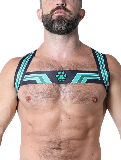 Bandit Harness - Green