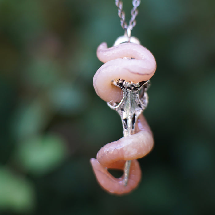 Bird Skull Necklace