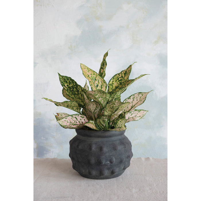 Black Terracotta Vase with Raised Dots - PICKUP ONLY