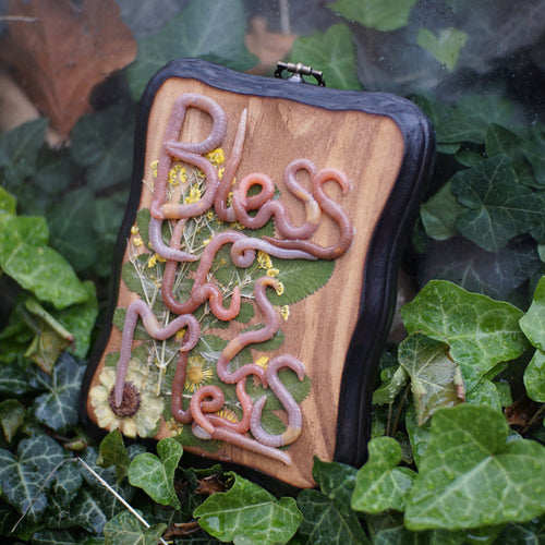 "Bless this Mess" Plaque