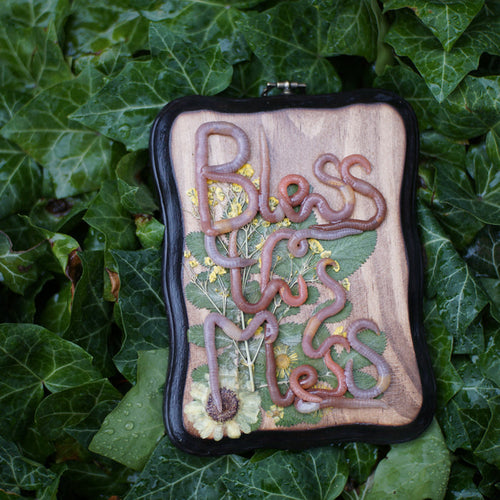 "Bless this Mess" Plaque