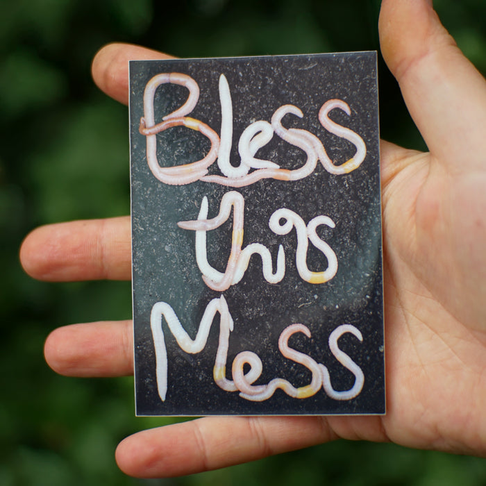 Bless This Mess sticker