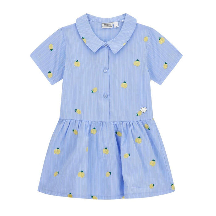 Blue Pinstripe Lemons Dress