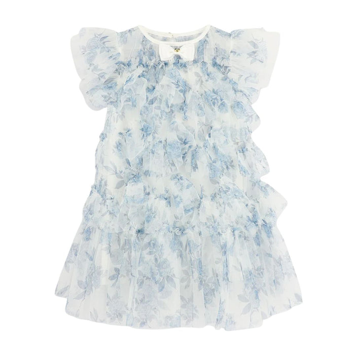 Blue & White Floral Tulle Dress