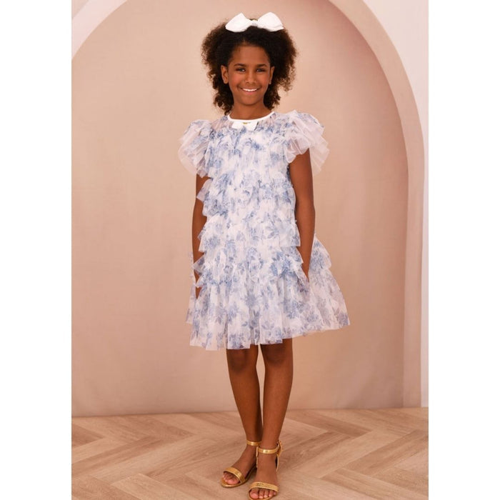 Blue & White Floral Tulle Dress