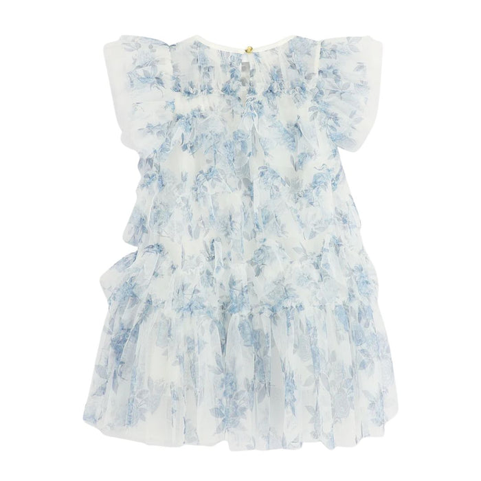 Blue & White Floral Tulle Dress