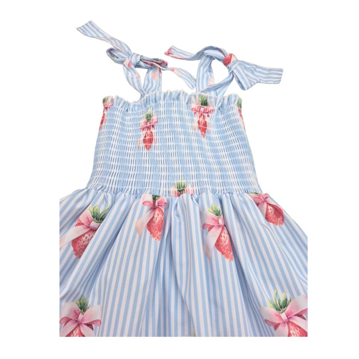 Blue & White Strawberries Beach Dress