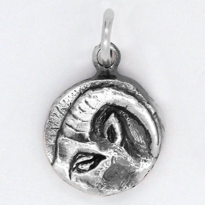Capricorn Charm