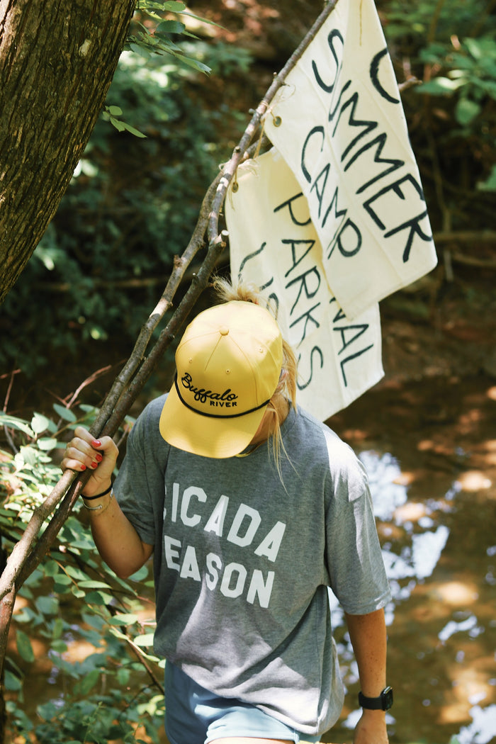 Cicada Season T-Shirt- Grey