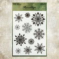 Clear Silicone Stamp Set STM527
