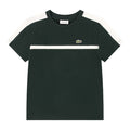 Dark Green & White Stripe T-Shirt