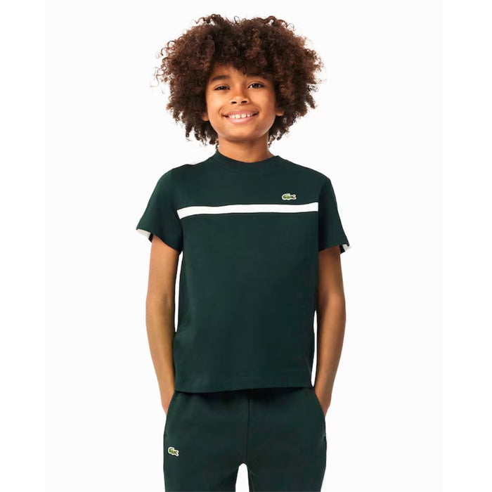 Dark Green & White Stripe T-Shirt
