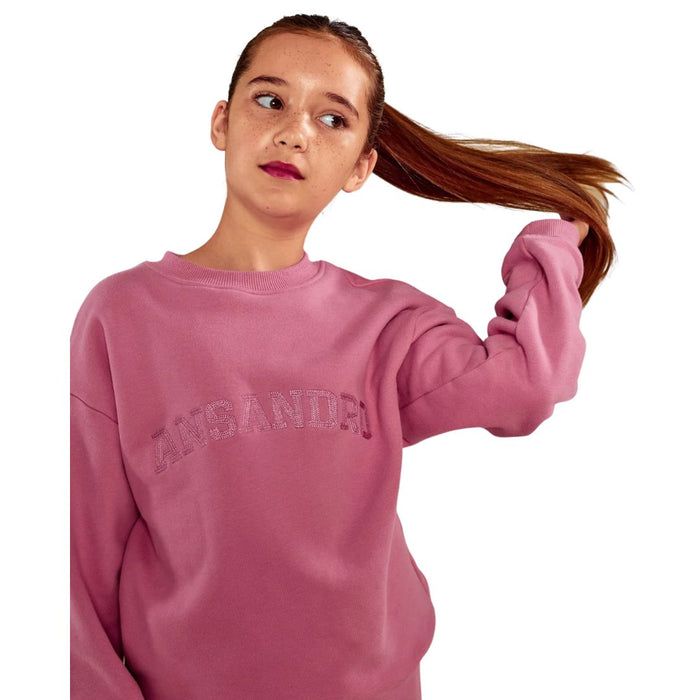 Dusty Rose Sweat Top
