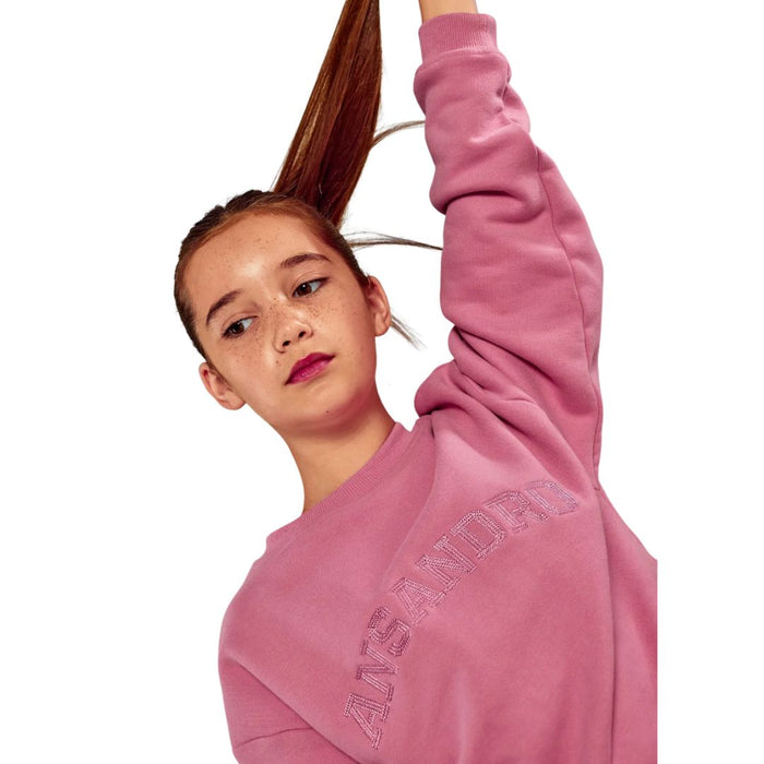 Dusty Rose Sweat Top