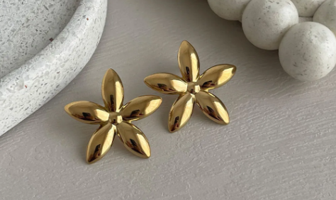 Fashion Earrings