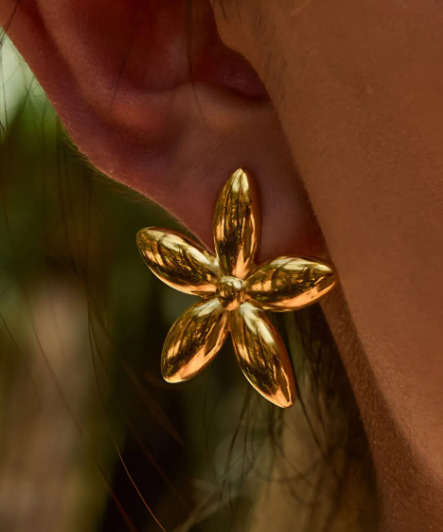 Fashion Earrings
