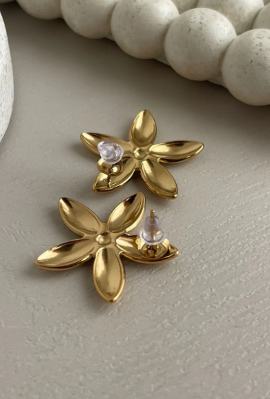 Fashion Earrings