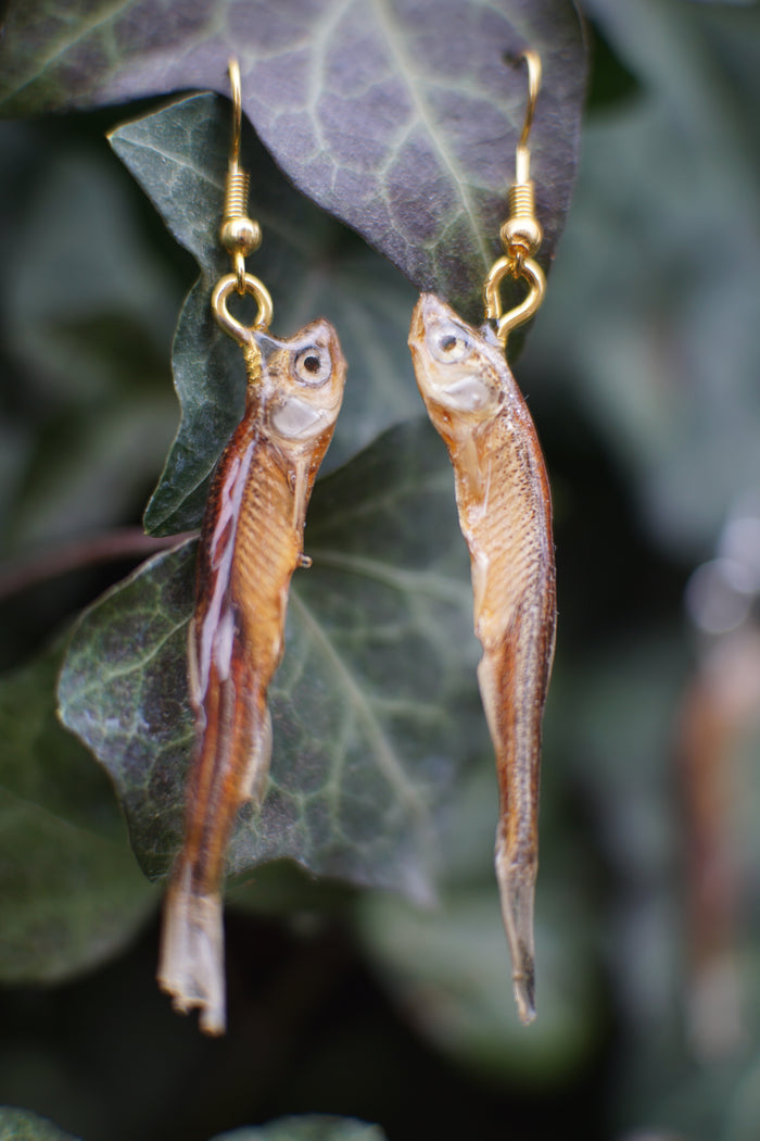 Fish Earrings
