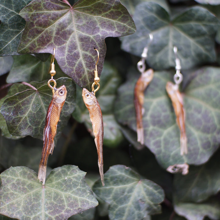 Fish Earrings