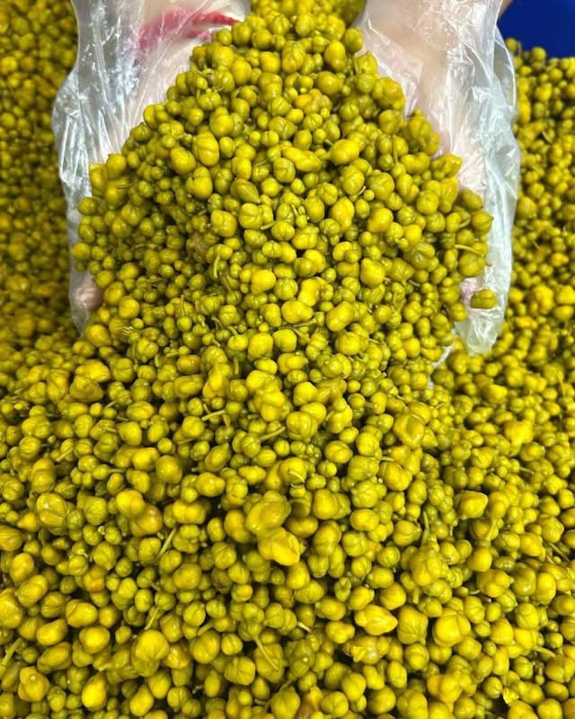 H & H Boiled Cassia Flower Buds (မယ် ဇလီ ဖူး ပြုတ်) - Myanmar Food USA