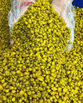 H & H Boiled Cassia Flower Buds (မယ် ဇလီ ဖူး ပြုတ်) - Myanmar Food USA