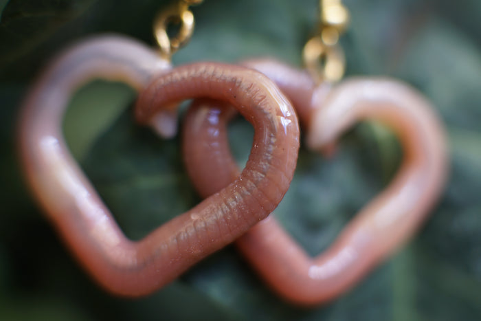 Heart Worm Earrings