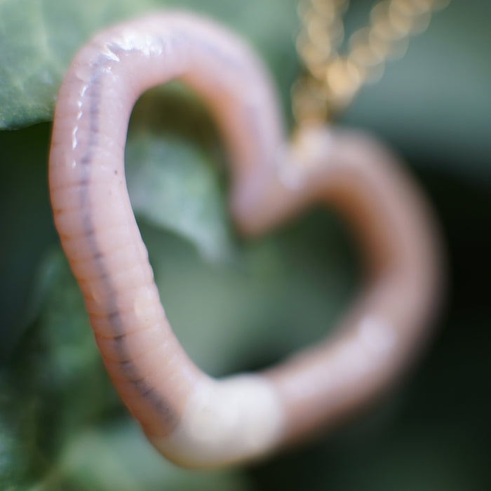 Heart Worm Necklace