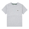 Light Grey T-Shirt