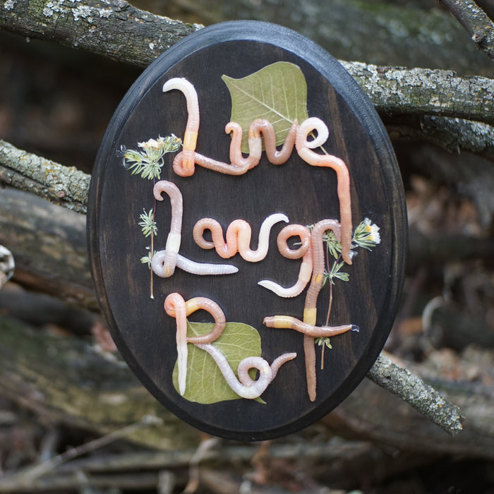 Live Laugh Rot Plaque